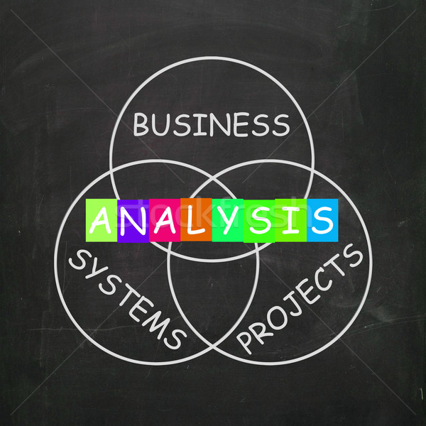 Analysis Shows Analyzing Business Systems and Projects Stock photo © stuartmiles