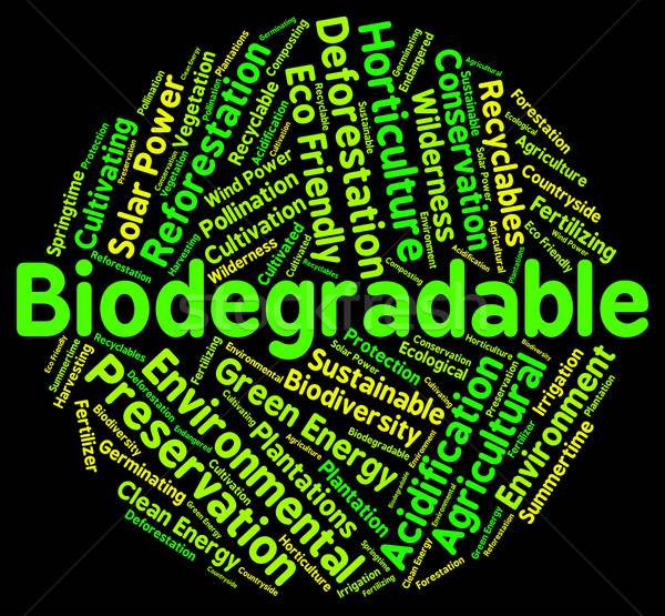 Biodegradable Word Means Degrade Biodegradation And Decompose Stock photo © stuartmiles