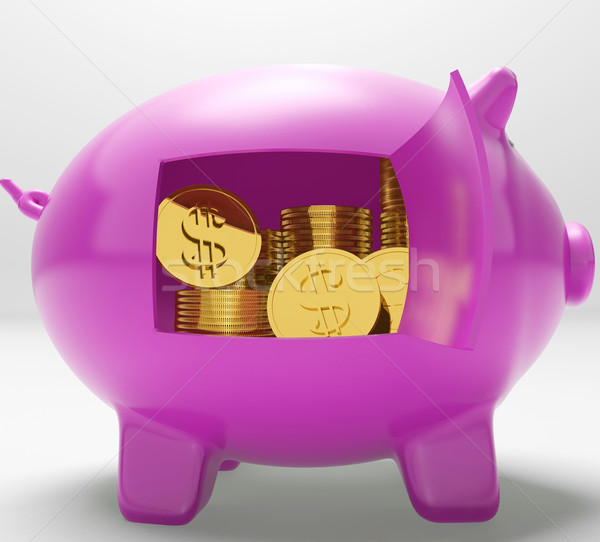 Dollar Coins Piggy Shows Prosperity And Security Stock photo © stuartmiles