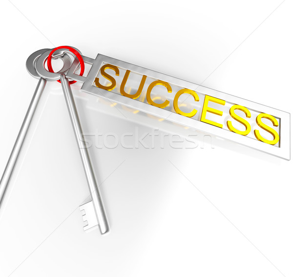 Success Keys Shows Victory Achievement Or Succeed Stock photo © stuartmiles