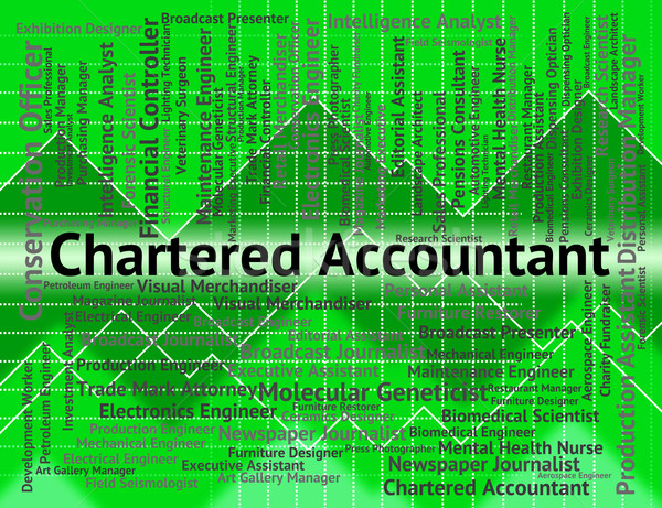 Chartered Accountant Indicates Balancing The Books And Licensed Stock photo © stuartmiles