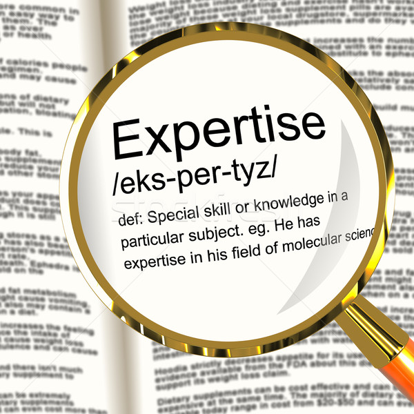 Expertise Definition Magnifier Showing Skills Proficiency And Ca Stock photo © stuartmiles