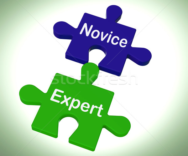 Novice Expert Puzzle Shows Unskilled And Professional Stock photo © stuartmiles