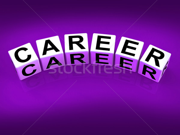 Career Blocks Refer to Professional and Work Life Stock photo © stuartmiles