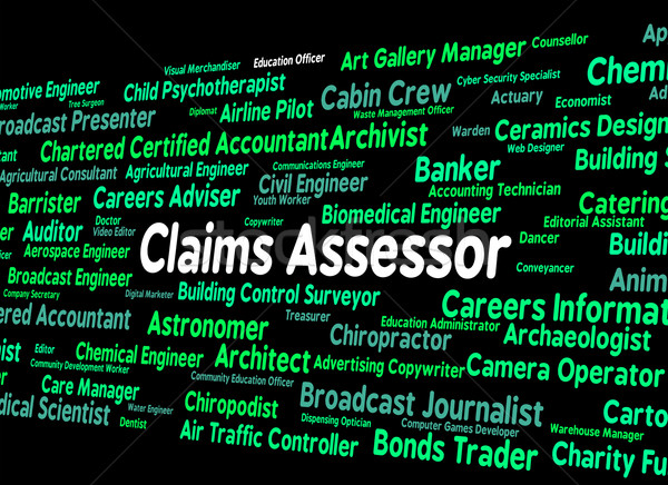 Claims Assessor Means Text Assessors And Words Stock photo © stuartmiles