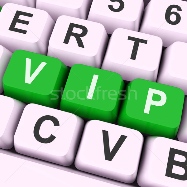 VIP Key Means Dignitary Or Very Important Person Stock photo © stuartmiles