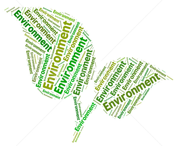 Environment Word Shows Eco Friendly And Ecological Stock photo © stuartmiles