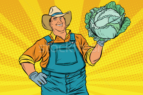 Rural retro farmer and a head of green cabbage Stock photo © studiostoks
