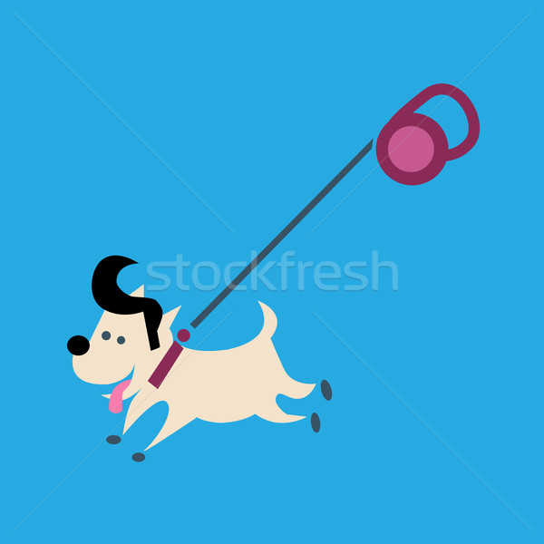 Foto stock: Correa · pequeño · alegre · de · moda · perro