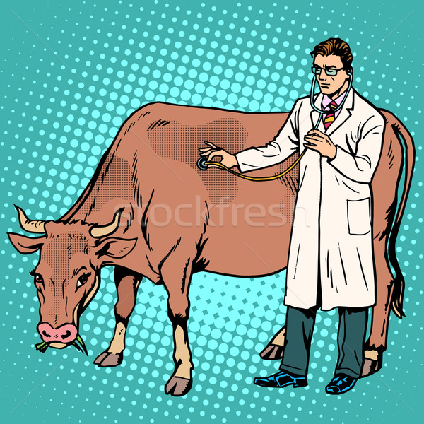 Veterinarian treats a cow farm animal medicine Stock photo © studiostoks