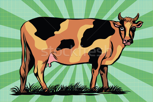 Kolor gospodarstwa krowy pop art retro wektora Zdjęcia stock © studiostoks