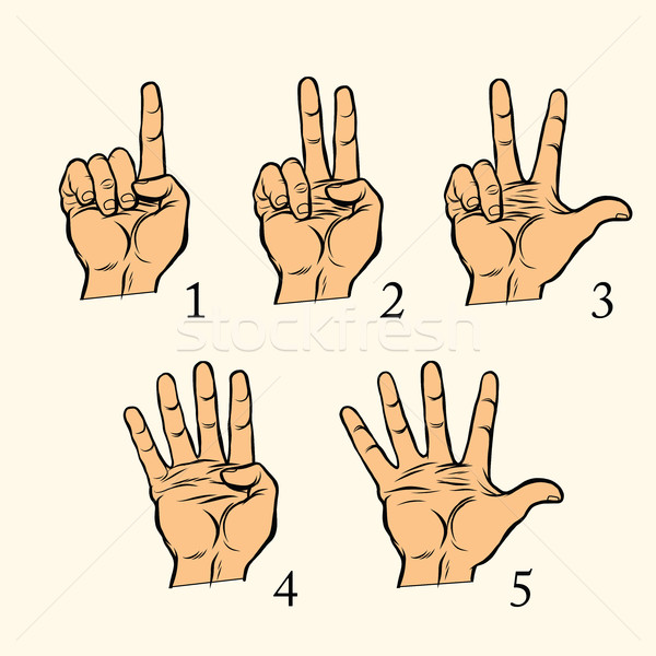 Set of hand gestures count 1 2 3 4 and 5 Stock photo © studiostoks
