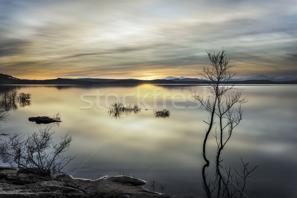 Meer gouden uur reservoir dorp Stockfoto © Studiotrebuchet