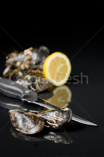 Stock photo: raw mussels from galicia spain in black background