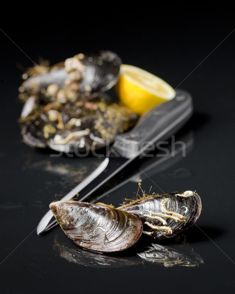 raw mussel food Stock photo © Studiotrebuchet