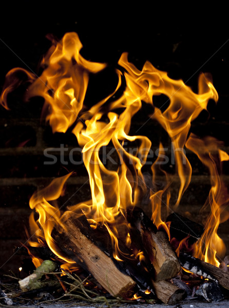 Fuoco fiamme immagini brucia energia caldo Foto d'archivio © Studiotrebuchet