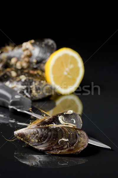 raw mussels from galicia spain in black background Stock photo © Studiotrebuchet