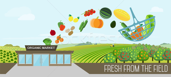 ストックフォト: 自然食品 · 配信 · オーガニック · 市場 · ストア · バスケット