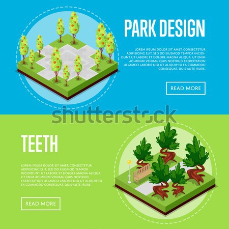 Home Garden And Decorative Plants Posters Vector Illustration