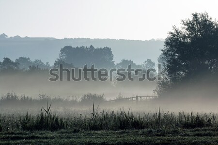 Mgły łące wcześnie rano zachód sussex charakter Zdjęcia stock © suerob
