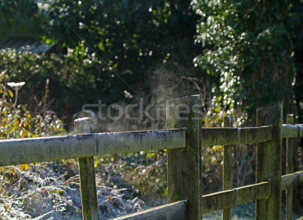 Kerítés fagyos időjárás gőz emelkedő tél Stock fotó © suerob