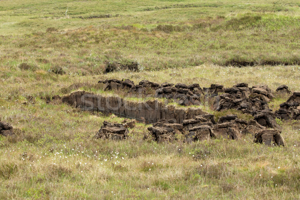 Peat Cutting Stock photo © suerob