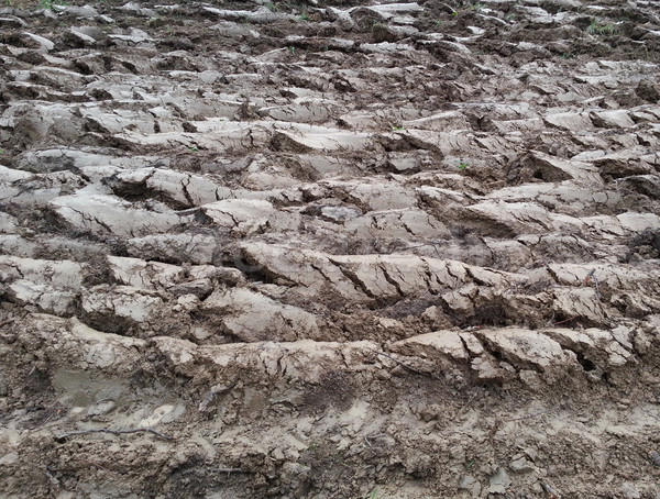 Ploughland  Stock photo © Suljo