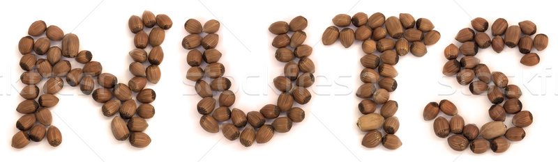 Haselnuss Zeichen Nüsse Haselnüsse isoliert weiß Stock foto © Suljo