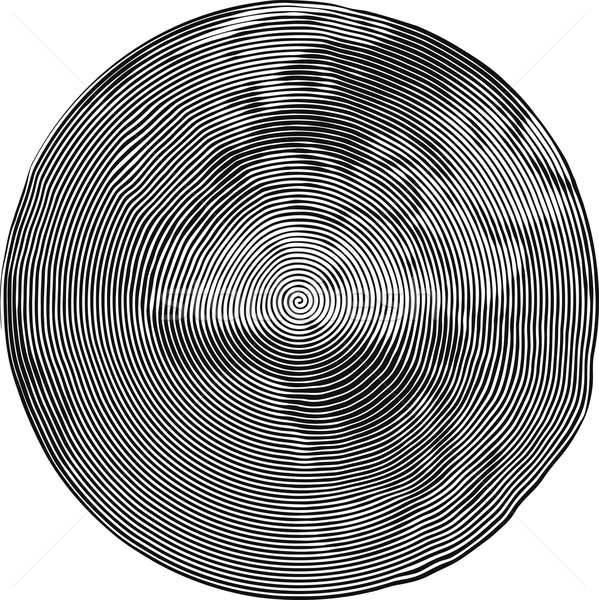 Africa Guilloche Stock photo © Suljo