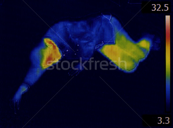Stock photo: Infrared Human Body