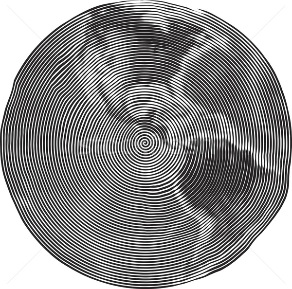 Guilloche Americas Stock photo © Suljo