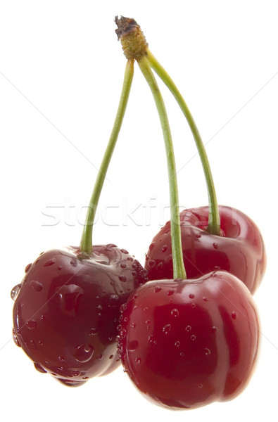Three sweet cherry cutout Stock photo © Suljo