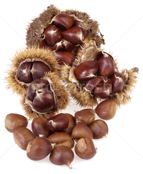 Chestnuts Stock photo © Suljo