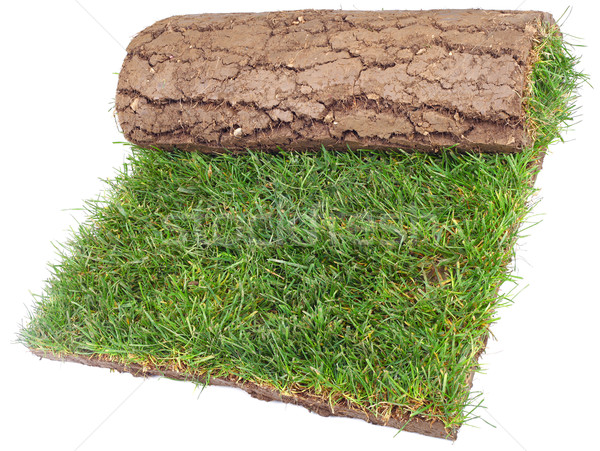 Roll of Grass Rug Stock photo © Suljo