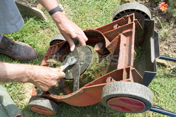 Grasmaaier mes gras werk machine Stockfoto © Suljo