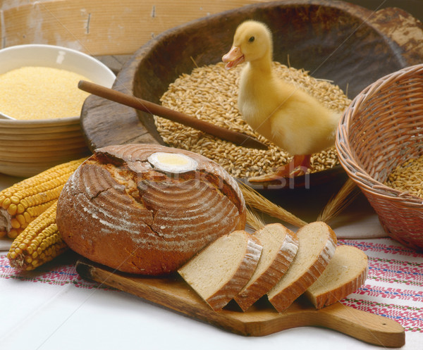 BreadAndDuck Stock photo © Suljo