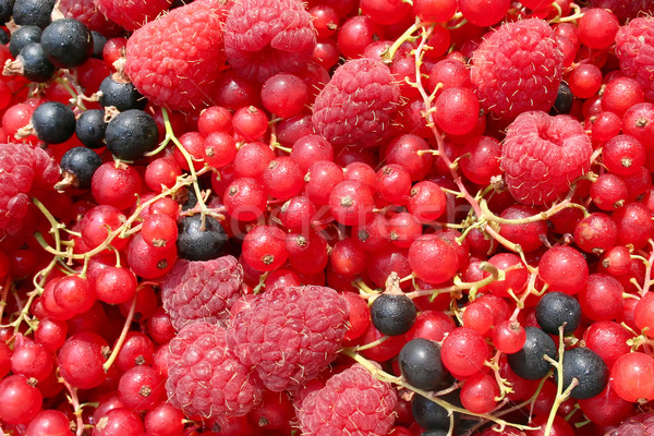 Naturalismo textura comida fruto Foto stock © Suljo
