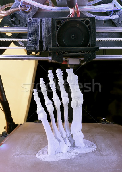 Fuß Knochen Druck 3D Modell menschlichen Stock foto © Suljo