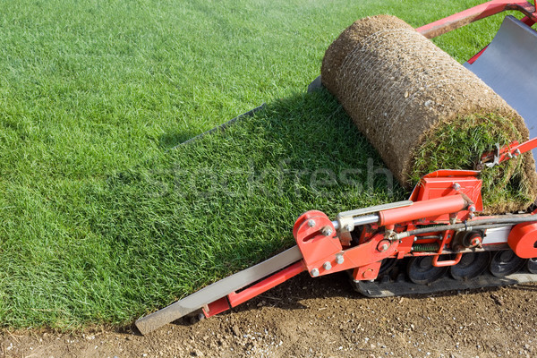 çim makine halı yeşil Stok fotoğraf © Suljo