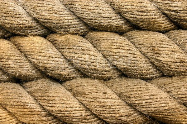 Rope Stock photo © Suljo