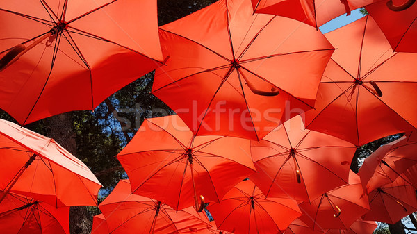 Red Parasol Sunshade Stock photo © Suljo