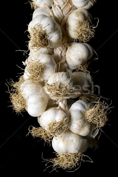 Garlic plait Stock photo © Suljo