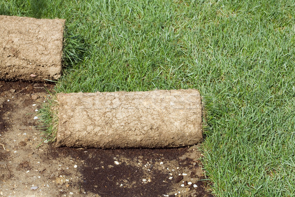 Grass Carpet Rolls Stock photo © Suljo