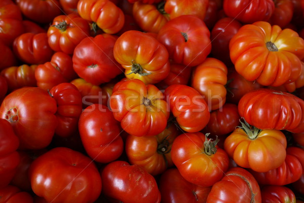 Lokalen Tomaten Myanmar Stock foto © sundaemorning