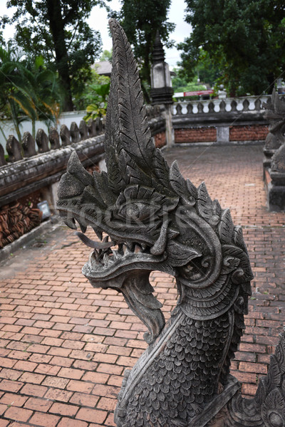 Kral hayvan antika tapınak turist Laos Stok fotoğraf © sundaemorning