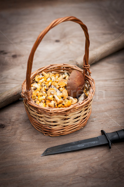 Koszyka grzyby tabeli smaczny drewniany stół żywności Zdjęcia stock © superelaks