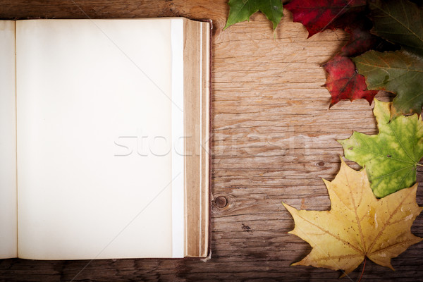 Eski kitap tablo sonbahar yaprakları eski ahşap masa kâğıt Stok fotoğraf © superelaks