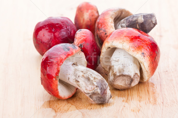 Fresh Rosy Russula fungi on wooden plate Stock photo © supersaiyan3