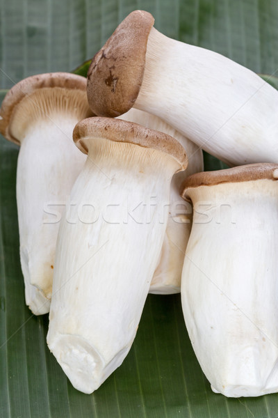 Eryngii mushroom (Pleurotus eryngii) on banana leaf Stock photo © supersaiyan3