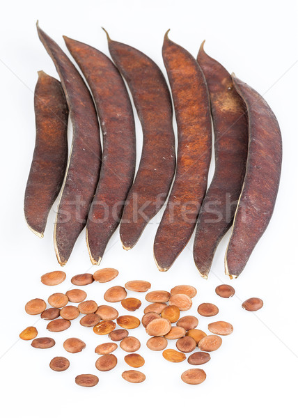 Bauhinia purpurea Linn.-seed and pod Stock photo © supersaiyan3